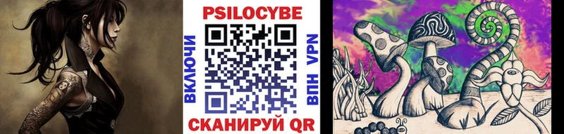 OMG ONION  Плавск  Псилоцибиновые грибы Cubensis 